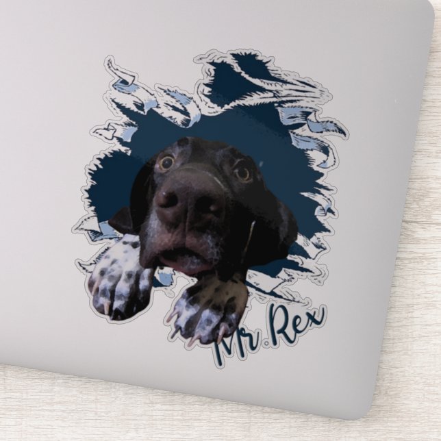 German Shorthaired Pointer    Sticker (Detail)