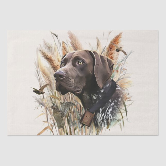 German Shorthaired Pointer Tissue Paper (Front)