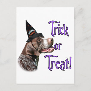 German Shorthaired Pointer Trick Postcard
