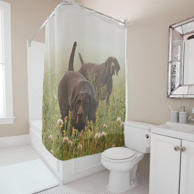 German Shorthaired Pointers  (In Situ)