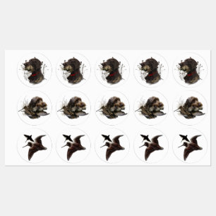 German Shorthaired Pointers