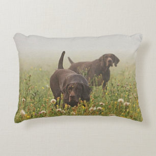 German Shorthaired Pointers  Accent Pillow