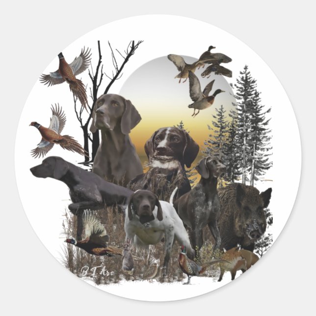 German Shorthaired Pointers  Classic Round Sticker (Front)