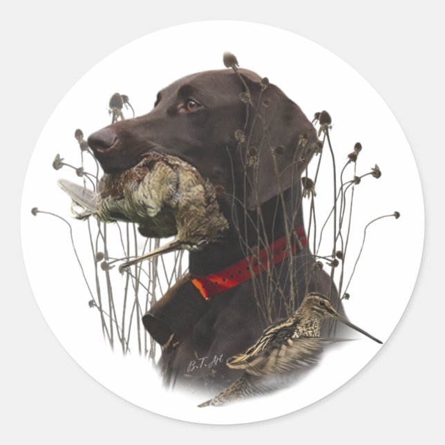 German Shorthaired Pointers Classic Round Sticker (Front)
