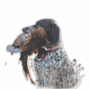 German Shorthaired Pointers (GSP)    