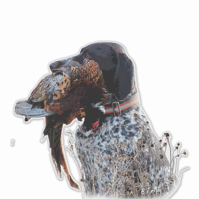 German Shorthaired Pointers (GSP)     (Front)