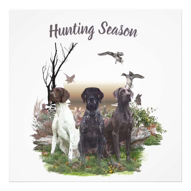 German Shorthaired Pointers (GSP), a hunting pheas Photo Print (Front)