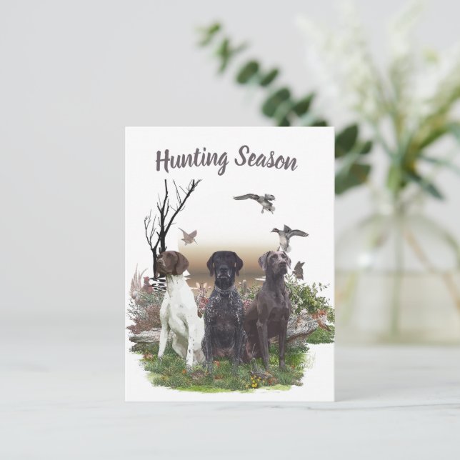 German Shorthaired Pointers (GSP), a hunting pheas Postcard (Standing Front)