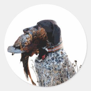 German Shorthaired Pointers (GSP)     Classic Round Sticker
