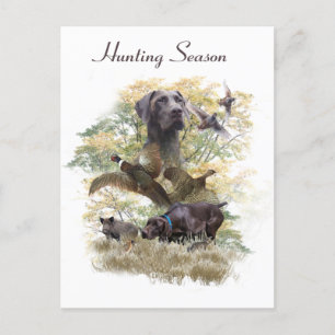 German Shorthaired Pointers (GSP) Holiday Postcard