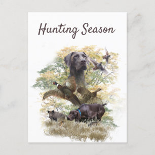 German Shorthaired Pointers (GSP)       Postcard