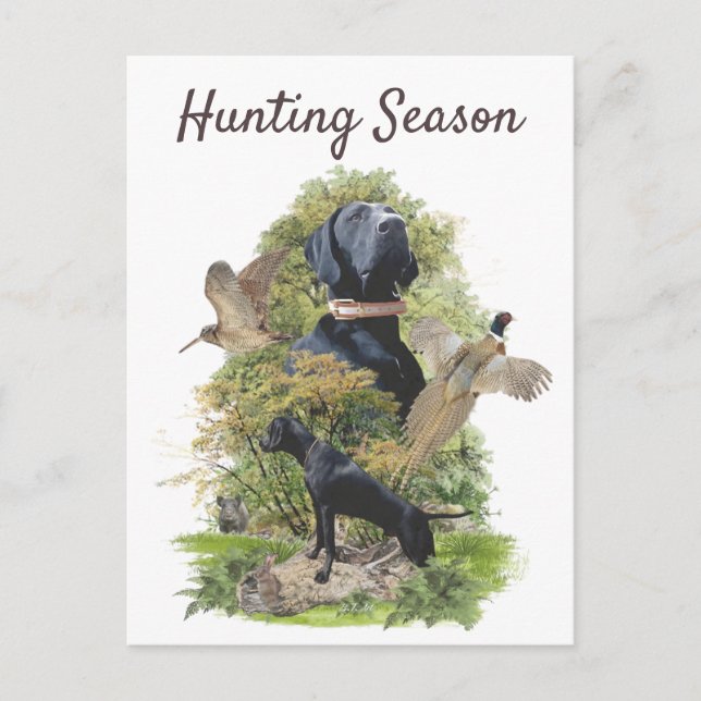 German Shorthaired Pointers (GSP)       Postcard (Front)