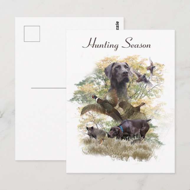German Shorthaired Pointers (GSP)       Postcard (Front/Back)