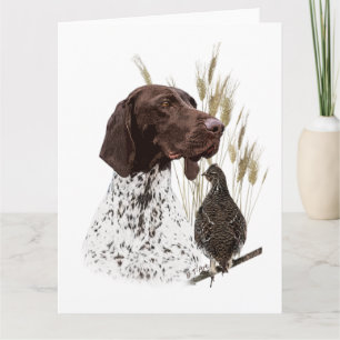 German Shorthaired Pointers (GSP) Postcard Coffee 
