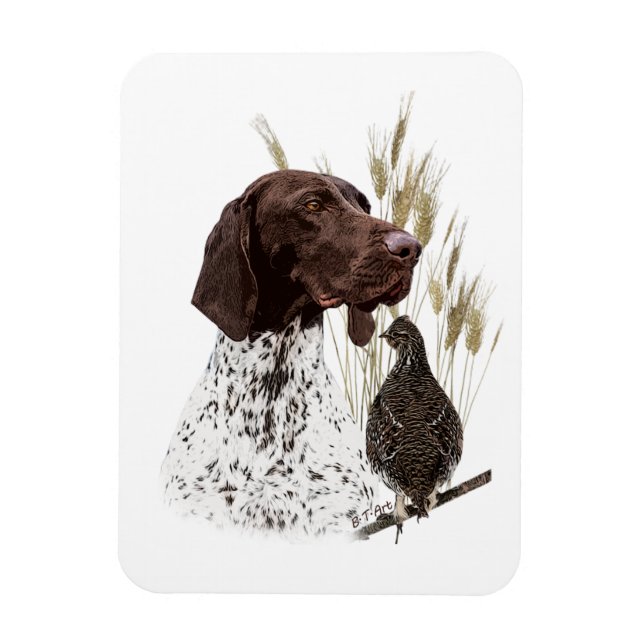German Shorthaired Pointers (GSP) Postcard Coffee  Magnet (Vertical)