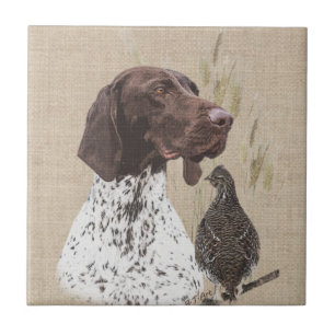 German Shorthaired Pointers (GSP) Postcard Coffee  Tile