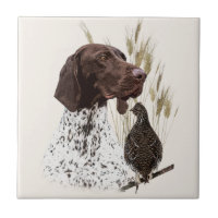 German Shorthaired Pointers (GSP) Postcard Coffee 