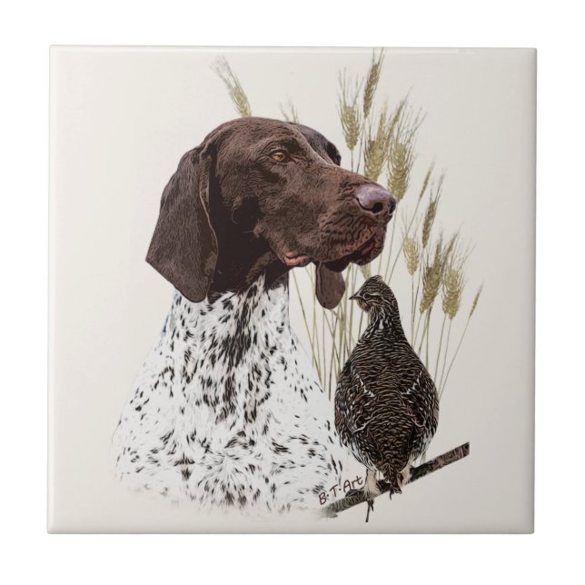 German Shorthaired Pointers (GSP) Postcard Coffee  Tile (Front)