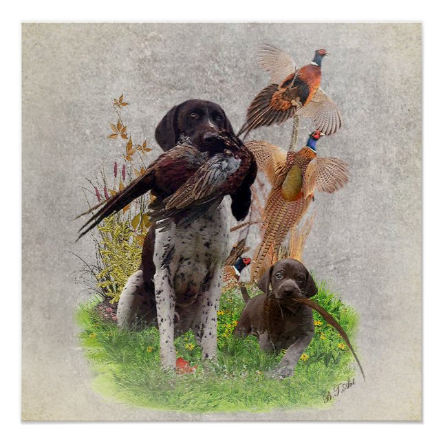 German Shorthaired Pointers (GSP)  Poster (Front)