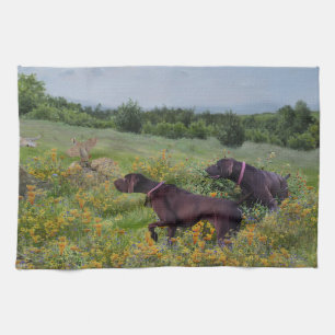 German Shorthaired Pointers    Kitchen Towel