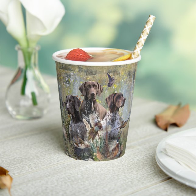 German Shorthaired Pointers  Paper Cups (Insitu)