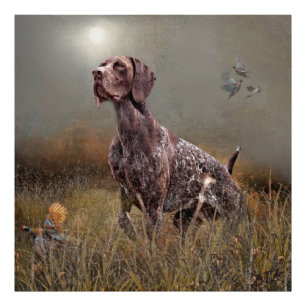 German Shorthaired Pointers  Photo Print