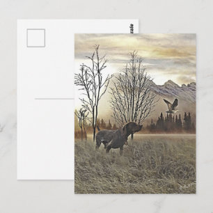 German Shorthaired Pointers Postcard