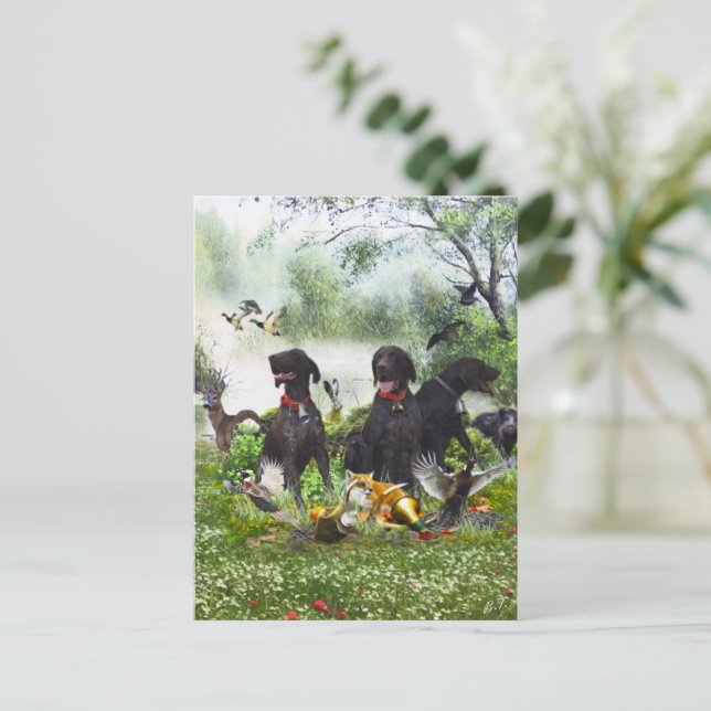 German Shorthaired Pointers Postcard (Standing Front)
