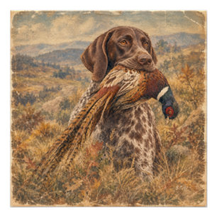 German Shorthaired Pointers Poster