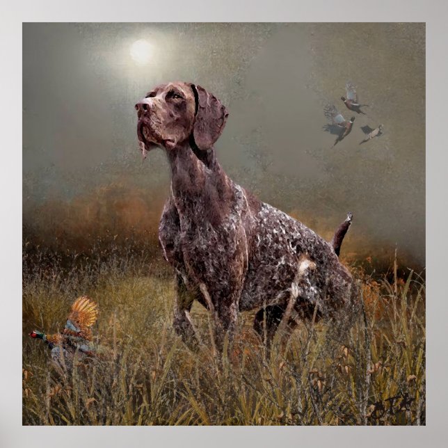 German Shorthaired Pointers  Poster (Front)