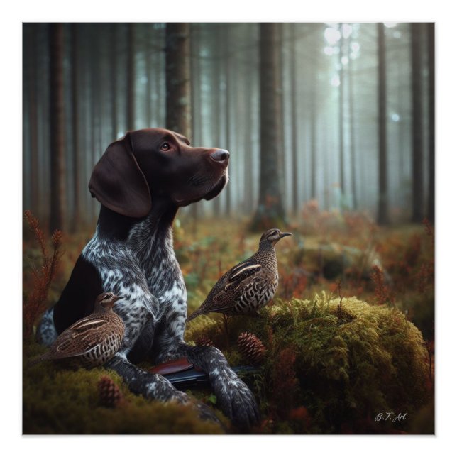 German Shorthaired Pointers Poster (Front)