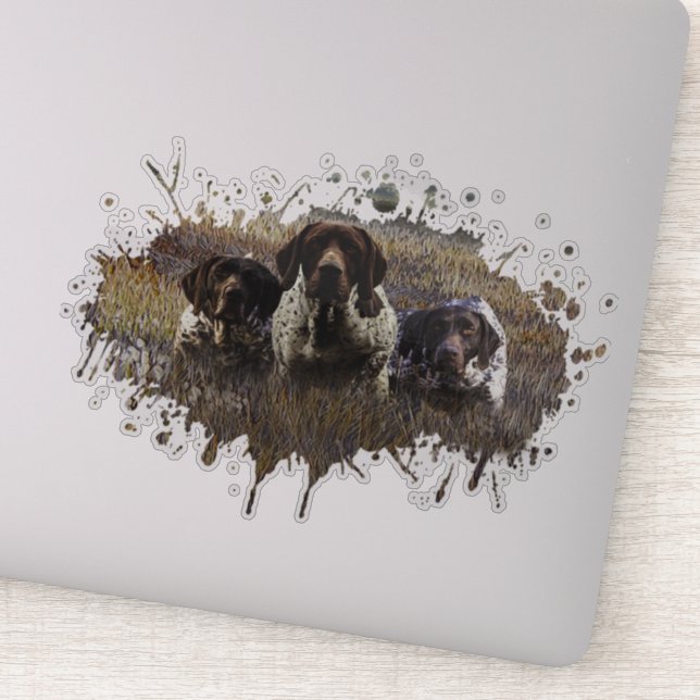 German Shorthaired Pointers   Sticker (Detail)