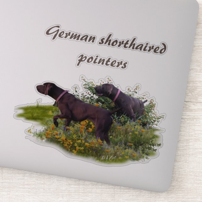 German Shorthaired Pointers   Sticker (Detail)