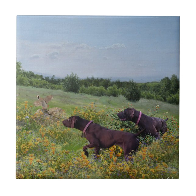 German Shorthaired Pointers    Tile (Front)