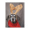german shorthaired reindeer