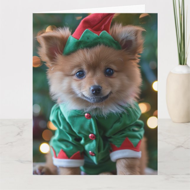German Spitz Elf Puppy Christmas Card  (Front)