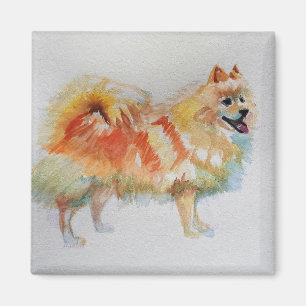 German Spitz Pomeranian Watercolor Dog Dogs Magnet