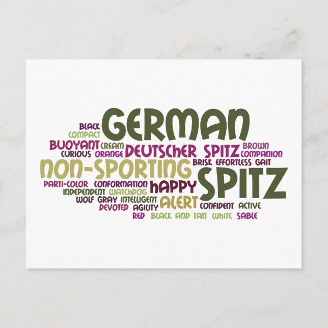 German Spitz Postcard (Front)