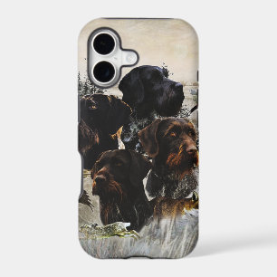  German Wirehaired Pointer
