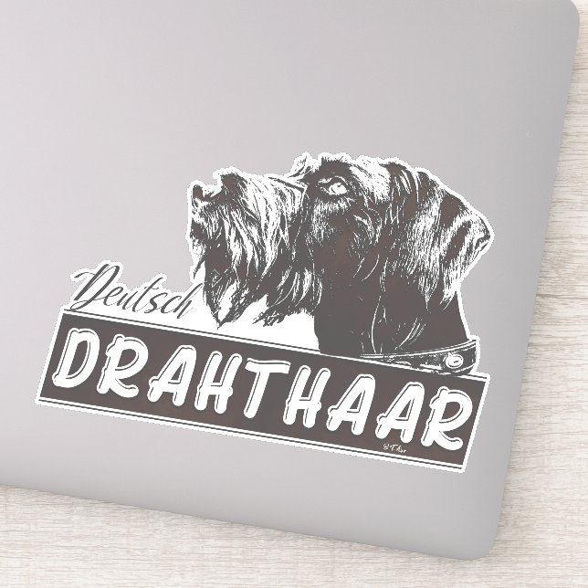 German Wirehaired Pointer (Detail)