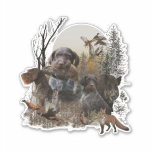 German Wirehaired Pointer