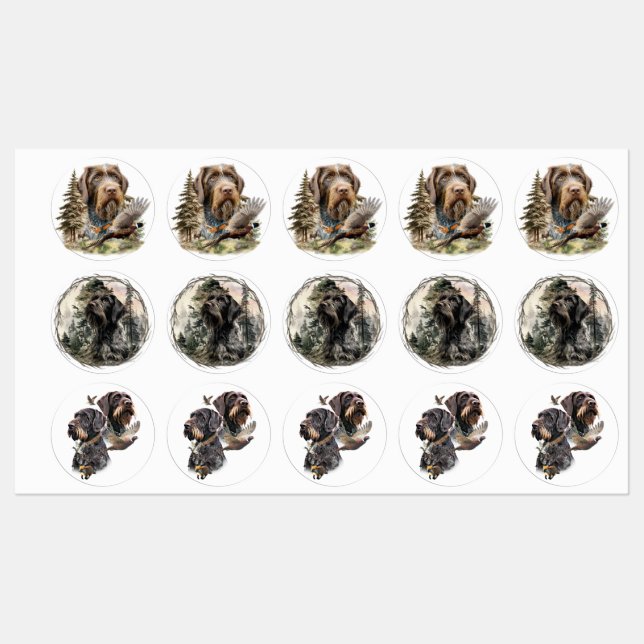 German Wirehaired Pointer (Sheet)