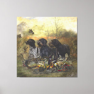 German Wirehaired Pointer    Canvas Print