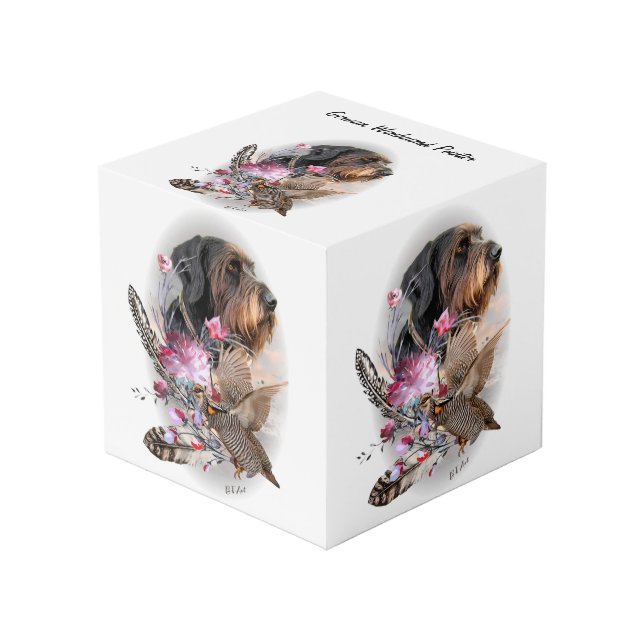 German Wirehaired Pointer    Cube (Front Angled)