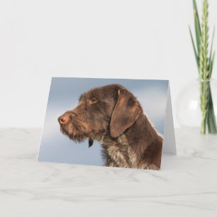 German Wirehaired Pointer Dog Card