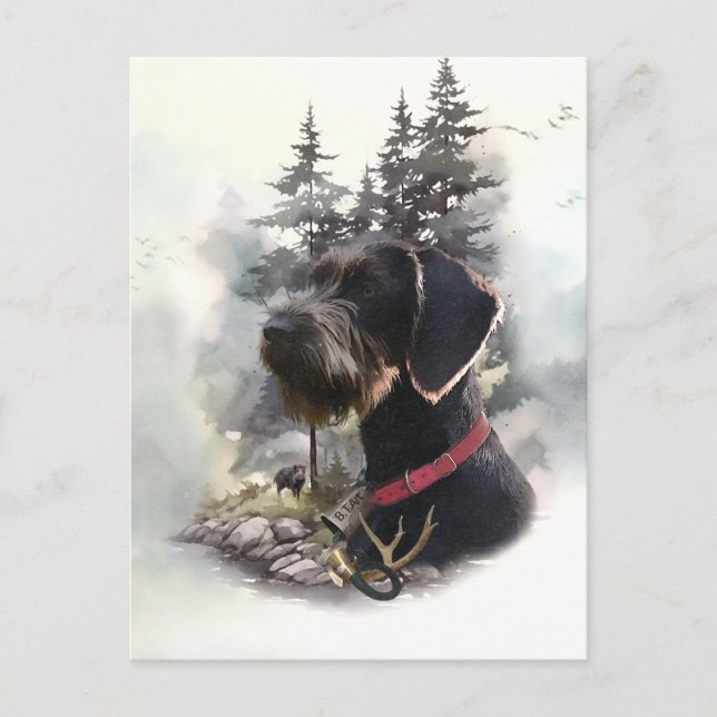 German Wirehaired Pointer, GWP Postcard (Front)