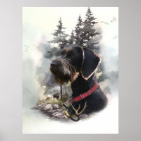 German Wirehaired Pointer, GWP