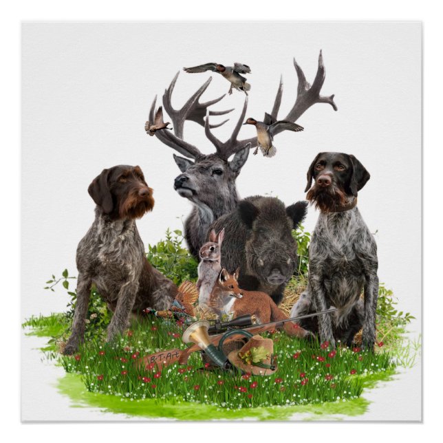 German Wirehaired Pointer (GWP) Poster (Front)