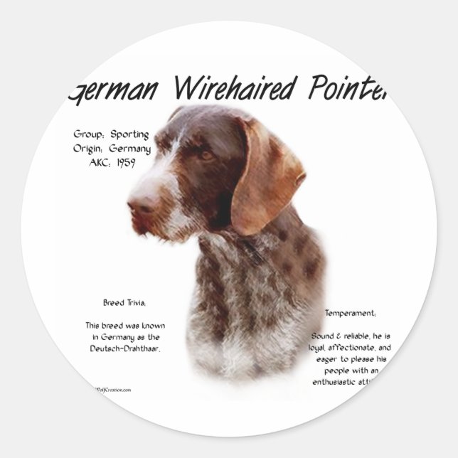 German Wirehaired Pointer History Design Classic Round Sticker (Front)
