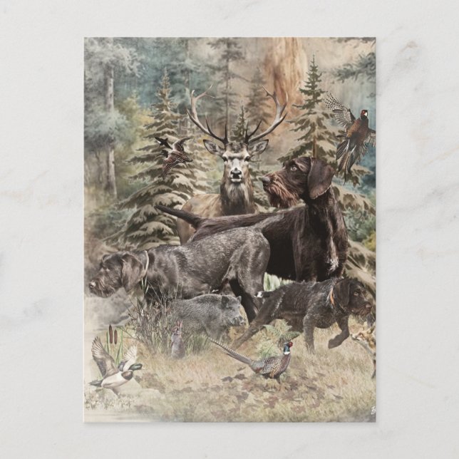 German Wirehaired Pointer Holiday Postcard (Front)